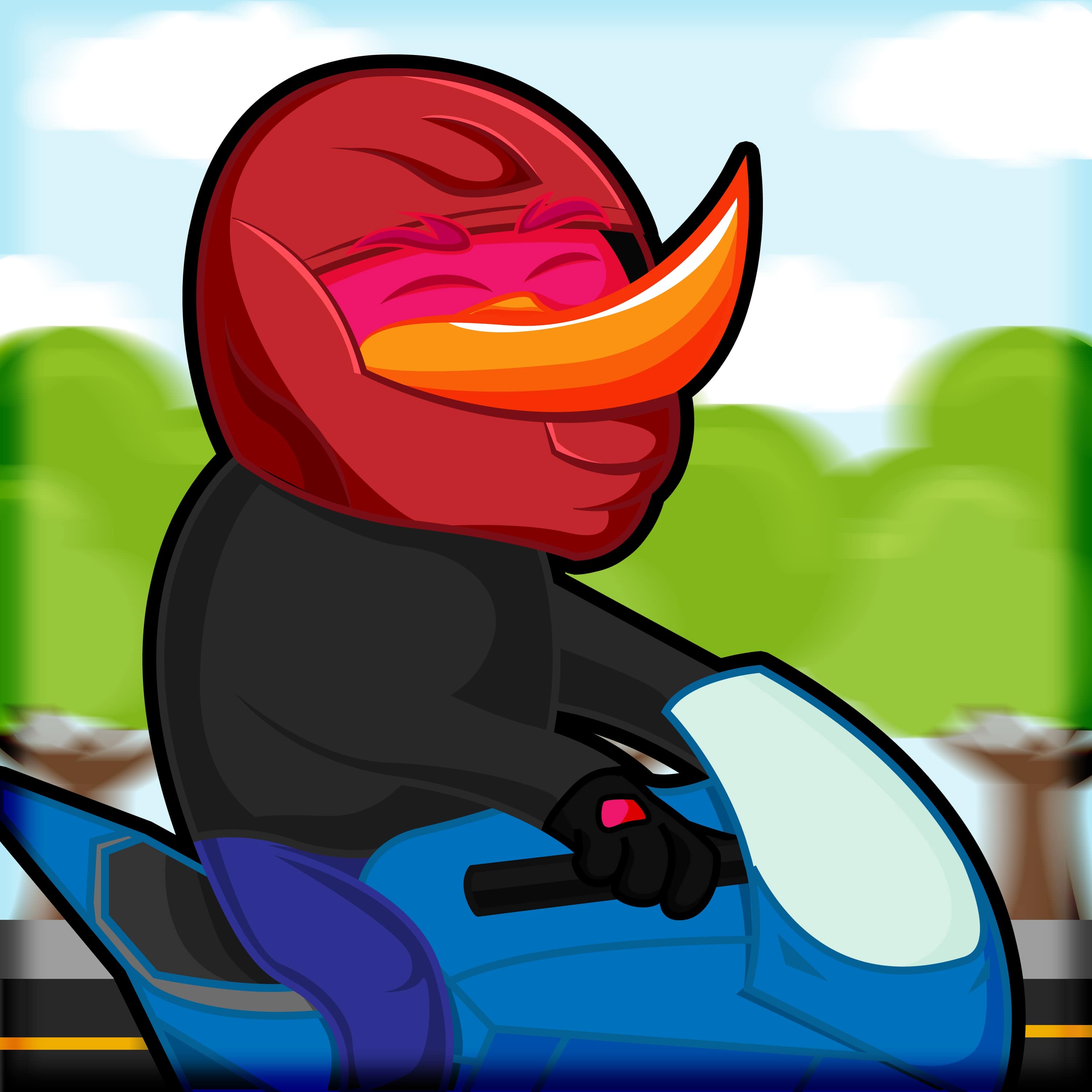 Duck 3